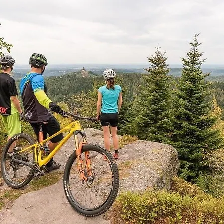 Logis Notre-dame De Bonne Fontaine 3*