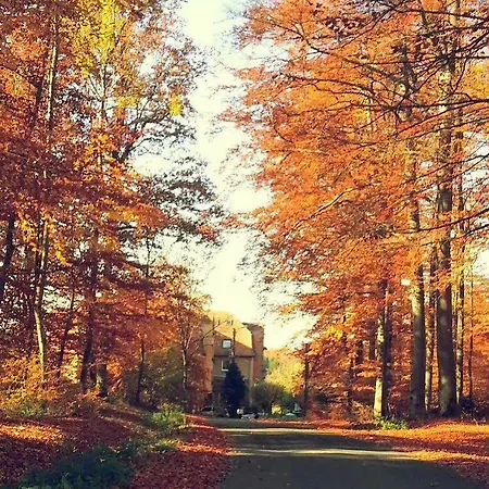 Hotel Logis Notre-dame De Bonne Fontaine Danne-et-Quatre-Vents