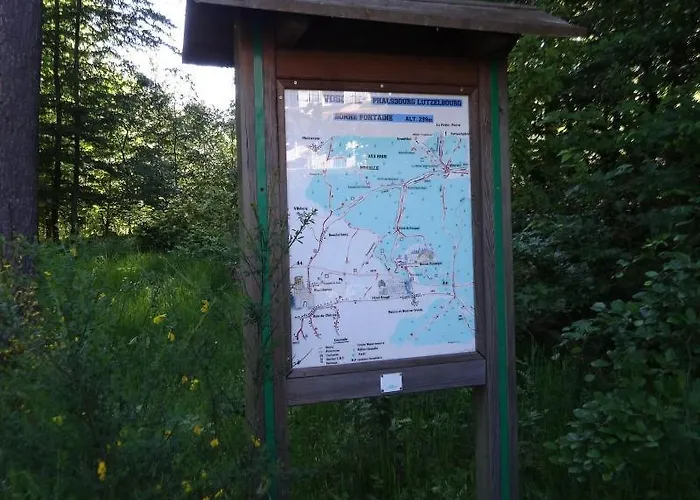 Logis Notre-dame De Bonne Fontaine Hotel Danne-et-Quatre-Vents