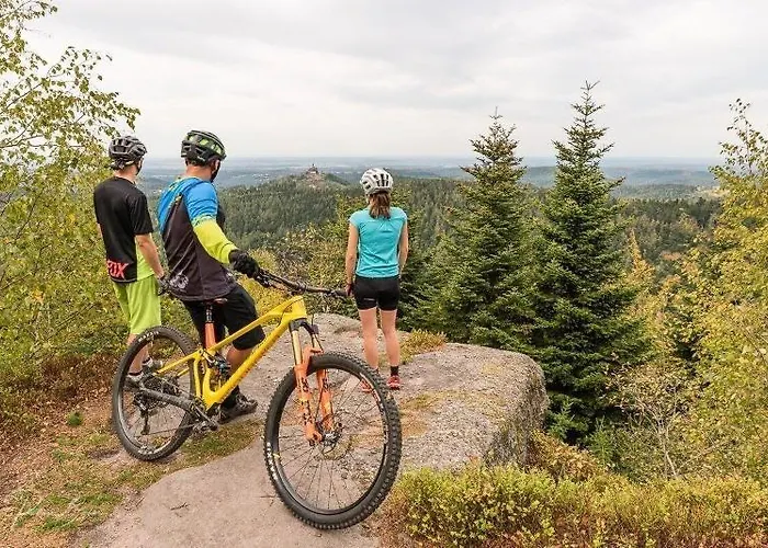 Logis Notre-dame De Bonne Fontaine 3*