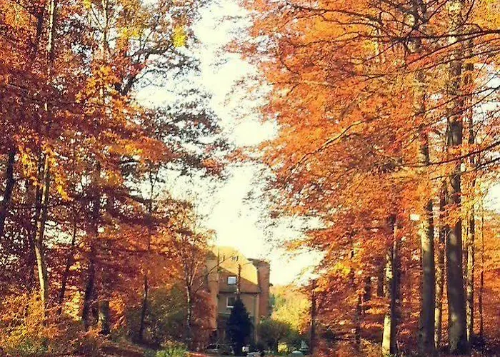 Hotel Logis Notre-dame De Bonne Fontaine Danne-et-Quatre-Vents
